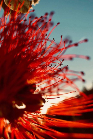 RESPIRATION 38 by Sophie&nbsp;Le Gendre